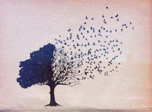 blog